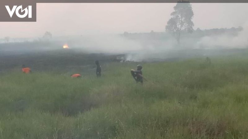 942 Titik Panas Terdeteksi Di Sumatera Terbanyak Di Sumatera Selatan