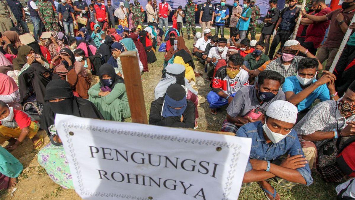 Unhcr Sebut Pengungsi Rohingya Tak Berniat Eksploitasi Indonesia