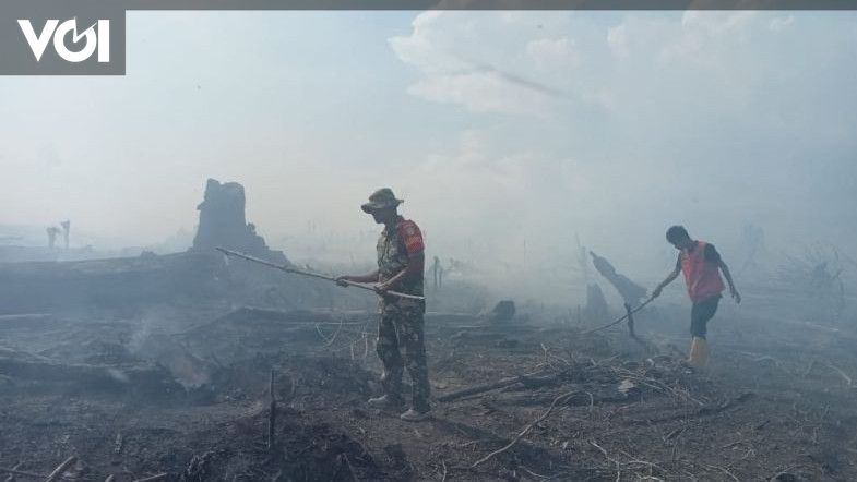 Lahan Seluas Hektare Di Aceh Terbakar