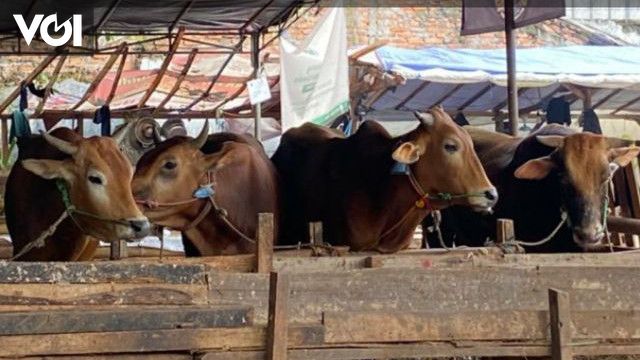 Pemkot Jakarta Selatan Kerahkan Petugas Untuk Pengawasan Pemotongan