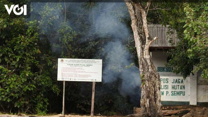 2 Hari Mahasiswa Hilang Saat Ekspedisi Di Pulau Sempu Kampus IPB