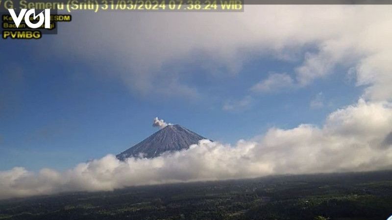 Kembali Erupsi Gunung Semeru Lontarkan Abu Vulkanik Setinggi Meter