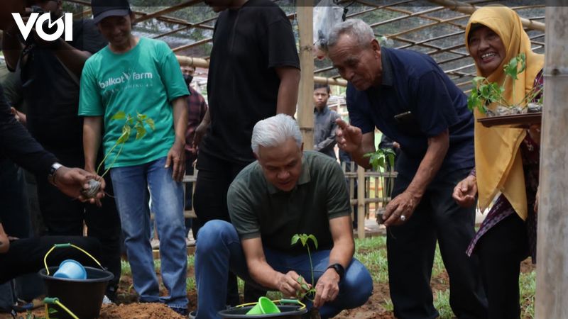 Ganjar Pranowo Panen Anggur Dan Tanam Cabai Bersama Petani Di Ibu Kota