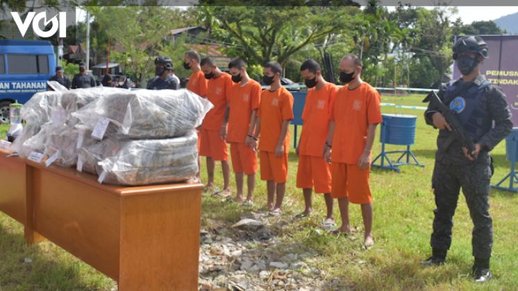 Bnnp Sumbar Musnahkan Kg Barang Bukti Ganja Kering