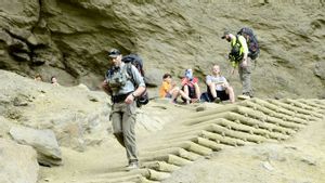 Fitur Satelit iPhone Selamatkan Pendaki yang Terluka di Puncak Pegunungan Colorado