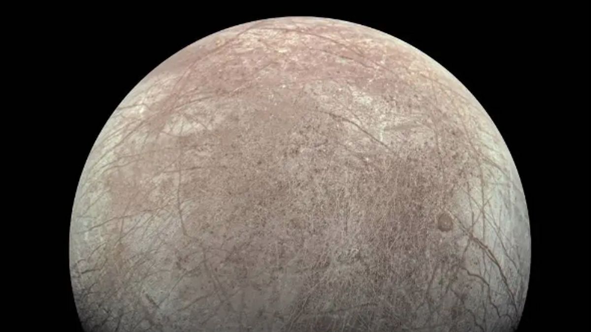 Apart From Carbon, NASA Scientists Believe There is a Salt Water Ocean on Europa Because of Table Salt