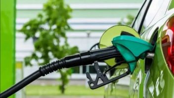 Bos PTPN Sebut Energi Bioetanol Lebih Efisien Ketimbang Biodiesel