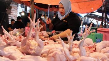 貿易大臣:MBGは鶏肉の価格上昇を引き起こさない