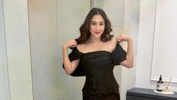 Sherina Munaf Asked For Clarification From The Police Regarding Uya Kuya's Cat