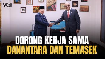 Prabowo Subianto Dorong Kolaborasi Strategis Danantara dan Temasek