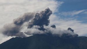 Gunung Ibu di Halmahera Barat Kembali Erupsi, Abu Capai 600 Meter