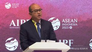 Bos Danantara soal Merger Pelita-Garuda Indonesia: Supaya Lebih Efisien