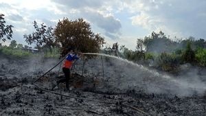 Karhutla Mulai Terdeteksi di Kotim Kalteng, BPBD Minta Dukungan Helikopter <i>Water Bombing</i> di Bandara Sampit