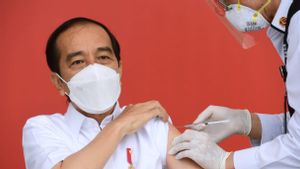 Jokowi Vaksin Perdana, Harga Saham Kimia Farma Jagoan Kaesang Malah Amblas
