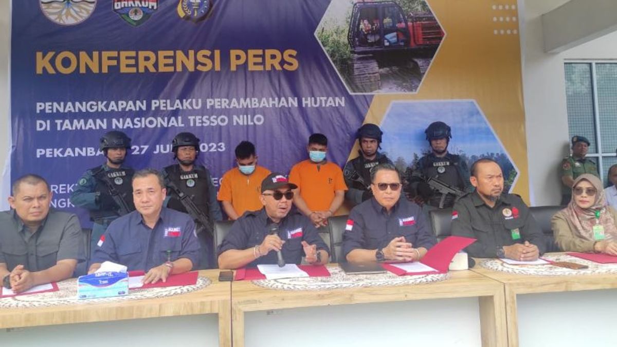 2 Perambah Hutan Taman Nasional Tesso Nilo Riau Ditangkap, Diancam 10 Tahun Penjara