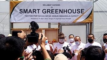 Harapan Ridwan Kamil di 2021 untuk Pertanian: <i>Nyiram</i> Pupuk Cair Pakai Drone