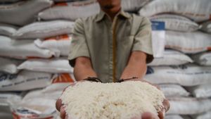 Realisasi Belum 100 Persen, Bulog Kebut Penyaluran Bantuan Pangan Beras di Papua