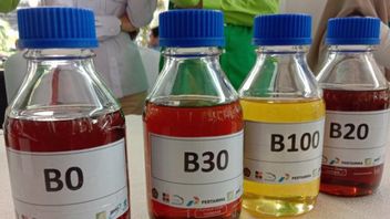 Rare Cooking Oil Due To Competition For Supply With Biodiesel?