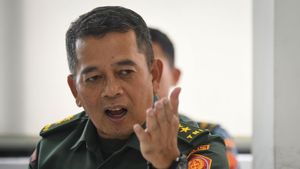 TNI Selidiki Video Warga Diduga Dianiaya Anggota TNI di Papua