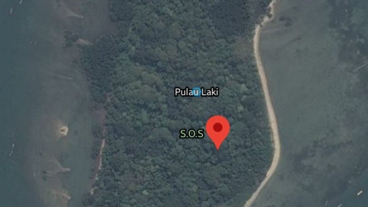 Warganet Heboh Tanda SOS di Pulau Laki Dekat Lokasi Jatuhnya Sriwijaya Air SJ-182