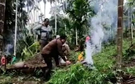 62.800 Pohon Ganja Ditemukan Aparat Gabungan di Aceh