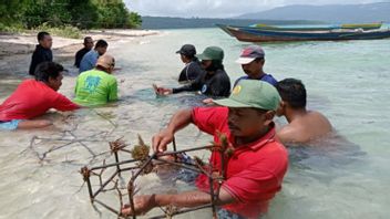 Menjaga Surga Bawah Laut Kapontori Buton dan Ancaman Nyawa Nelayan