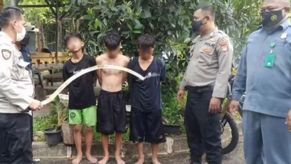 Paralon Modifications Like Sickles, These Three Boys Were Arrested Because They Were Thought To Be Robbers