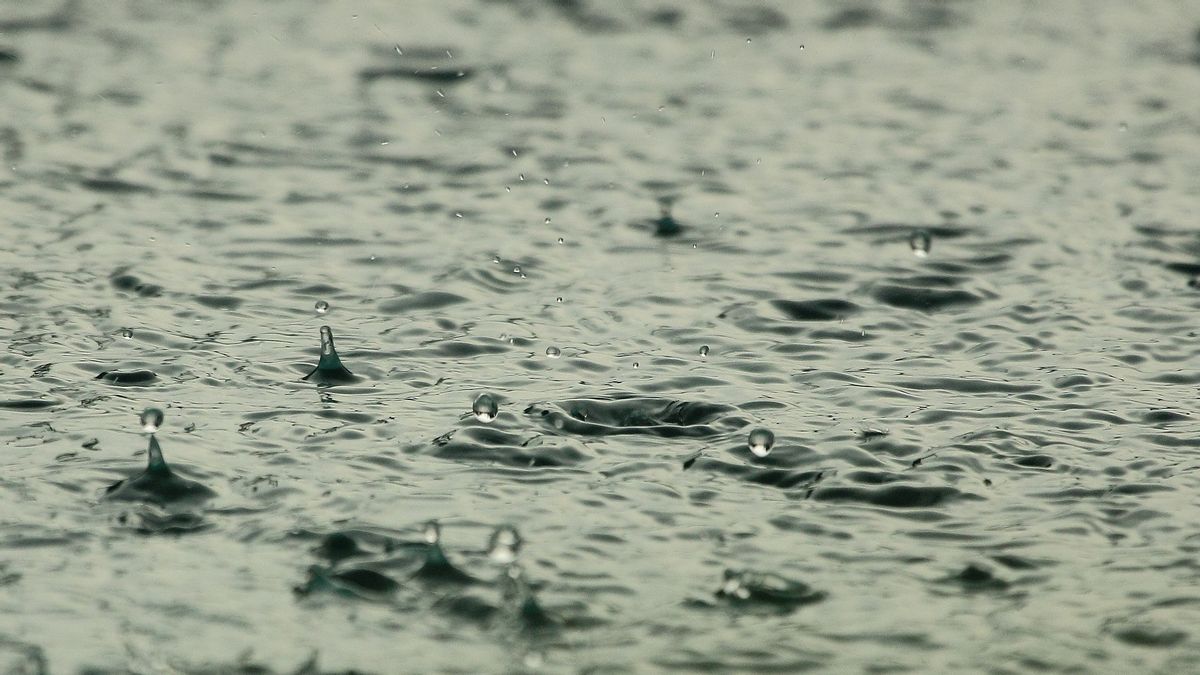 Prakiraan Cuaca BMKG: Waspadai Hujan Sedang hingga Lebat Disertai Angin Kencang