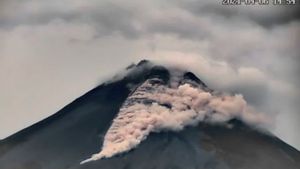 Berita Yogytakarta: Gunung Merapi Meluncurkan Awan Panas Guguran Sejauh 1.500 Meter ke Barat Daya