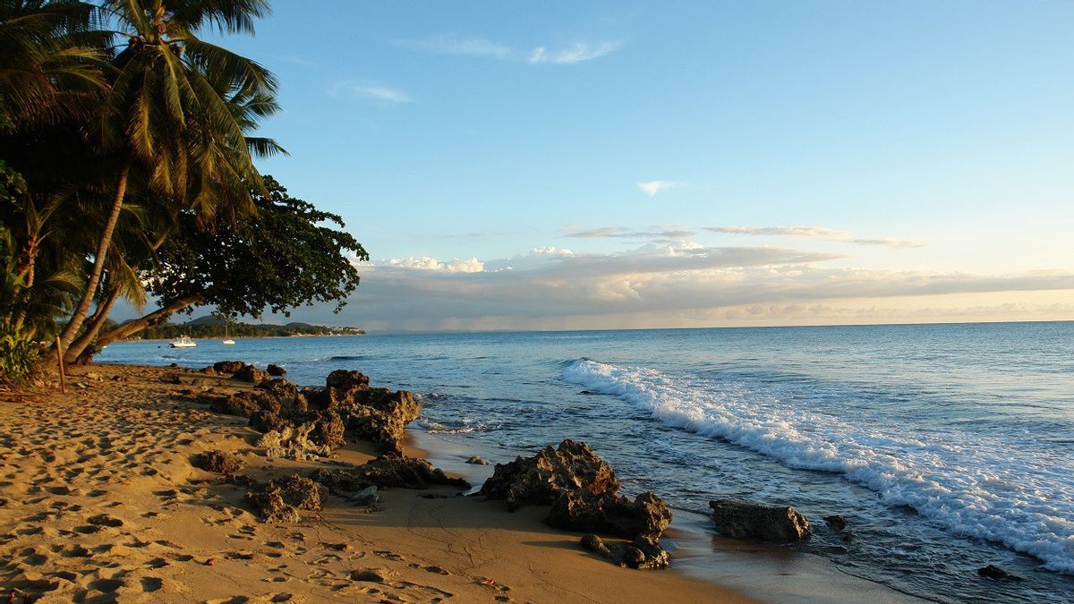 4 Pantai Terbaik di Puerto Rico untuk Berjemur hingga Berselancar