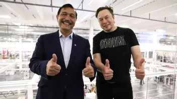 Luhut Binsar Ngobrol Asyik dengan Elon Musk, Sampaikan Undangan untuk Hadiri G20 di Bali 