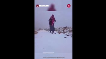 多くの人が知らない、雪に覆われたサウジアラビアの地域