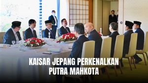 Kaisar Jepang Perkenalkan Putra Mahkota kepada Presiden Prabowo