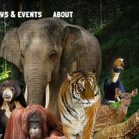 Stok Pakan Satwa dan Gaji Karyawan Kebun Binatang Ragunan Aman