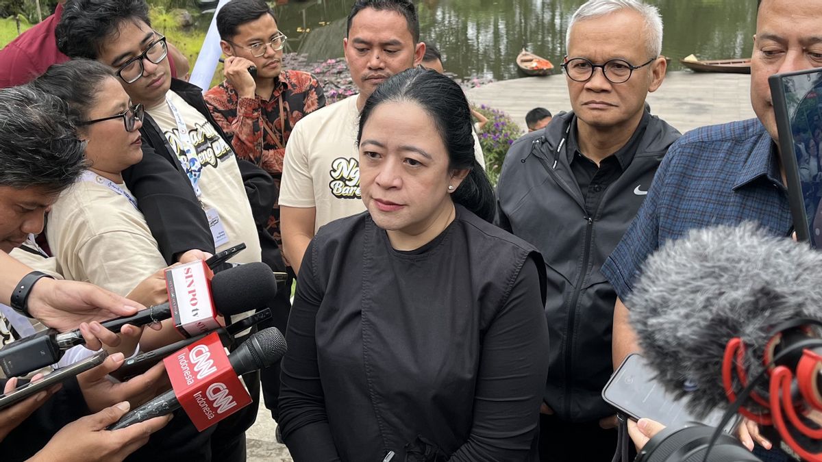 Puan soal Pansus Ilegal Logging dan Revisi UU Kehutanan: Dibahas Setelah Bencana Sumatera Tertangani