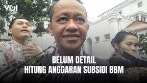 Menteri ESDM Usai Bertemu Presiden Prabowo, Segera Gantikan PLTD