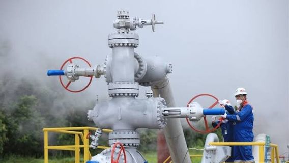 PGEO's Profit Drops 33.97 Percent To 31.37 Million US Dollars In The First Quarter Of 2025