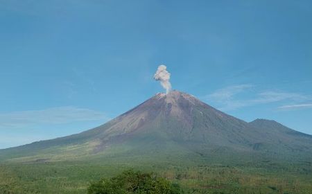 Senin Pagi, Gunung Semeru Lontarkan Abu Vulkanik Setinggi 800 Meter