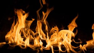23 Desember dalam Sejarah: Kebakaran di Dabwali yang Meregang 530 Nyawa