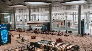 Singapura Sita 20 Cula Badak di Bandara Changi Bernilai Rp13 Miliar, Jadi Penangkapan Terbesar dalam Sejarah