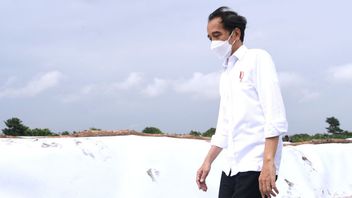 Extreme Weather Due To Seroja Tropical Cyclone, Jokowi Asks For BMKG To Promote Early Warning