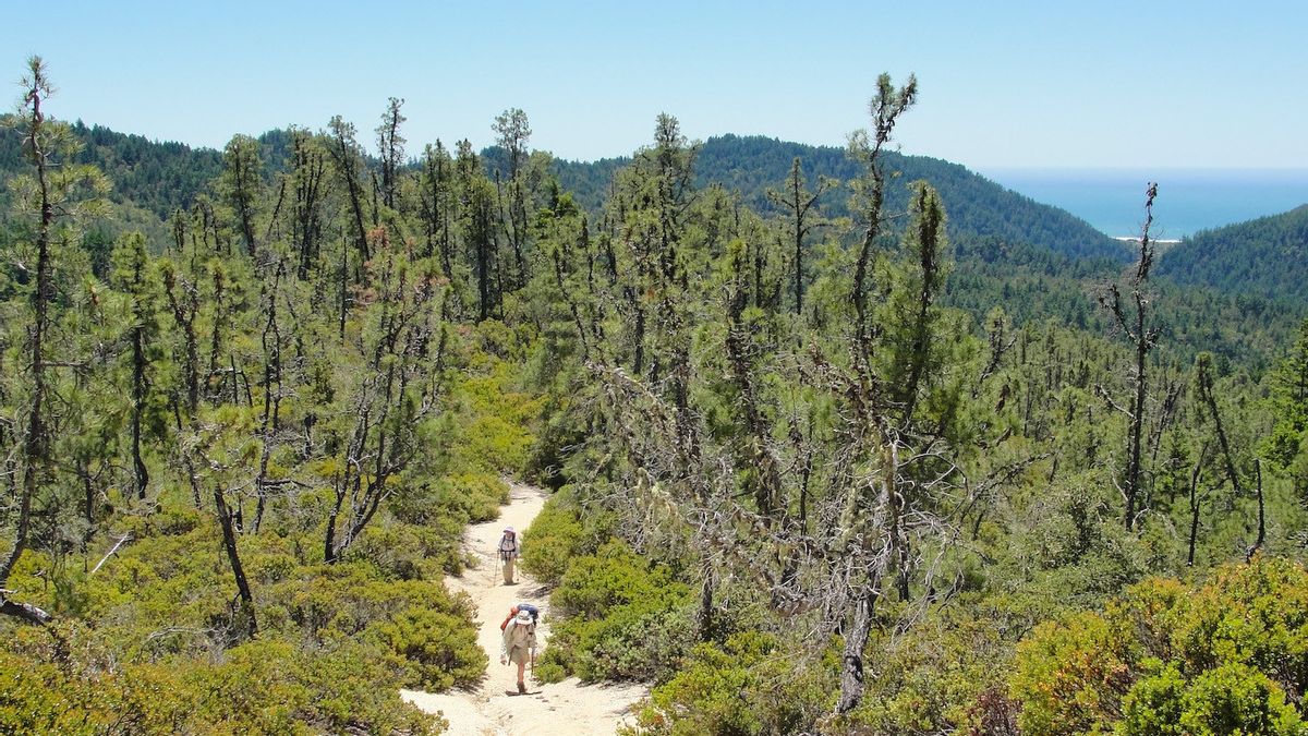 Disparait dans les montagnes Californie : un homme survit en boissant de l'eau des eaux et des rivières