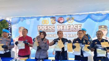 Bali Police Foil 2.5 Kg Cocaine Smuggling, Russian Bule Arrested