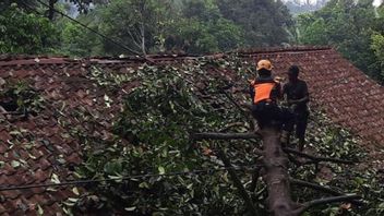 Landslides And Mud Floods Hit Several Districts In Sukabumi
