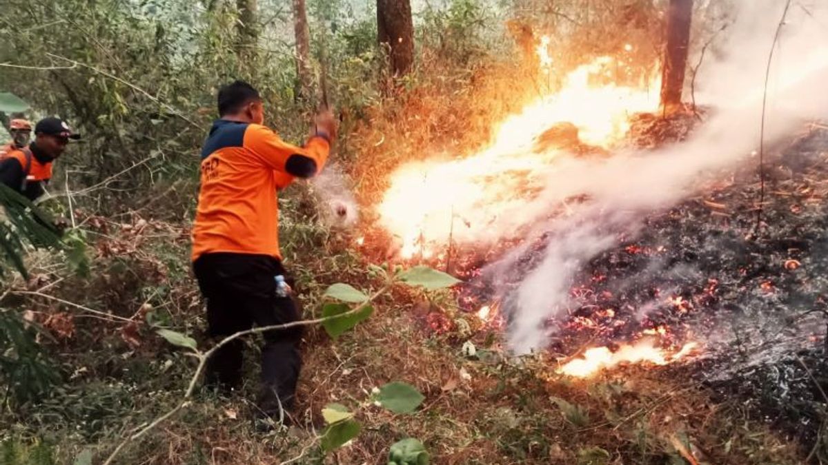 森林和陆地火灾的预期,BKSDA西苏门答腊Gencar森林和陆地巡逻