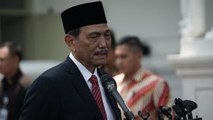 Luhut Bilang Amerika Apresiasi Penanganan Pandemi Indonesia