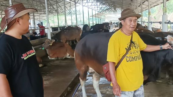 Les commerçants saisonniers d’animaux de sacrifice choisissent de vendre dans la zone frontalière de Bekasi - Bogor, c’est pourquoi