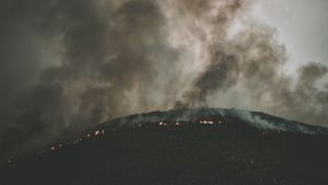 Rusia Umumkan Keadaan Darurat di 2 Wilayah Akibat Kebakaran Hutan