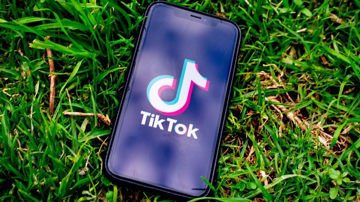 MSME Activists Hope Business Actors Optimize Optimization Opportunities For TikTok-Tokopedia Collaboration