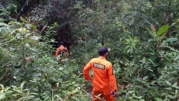 Basarnas Searches For Elderly 60 Years Missing In The Konawe Forest Of Southeast Sulawesi